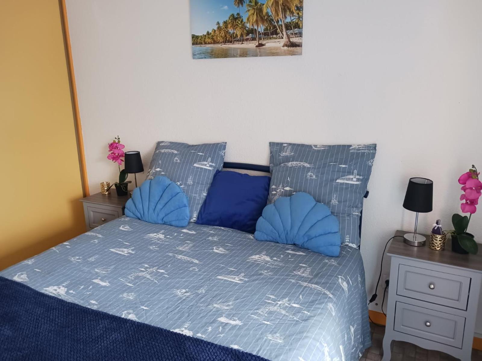 Appartement T2 Vue Mer Et Port,2 Balcons, Parking Prive カネ エクステリア 写真
